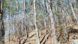  County Road 520 - Photo 1