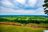 487 County Road 463 - Photo 11