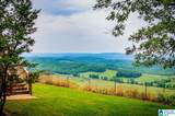 487 County Road 463 - Photo 7