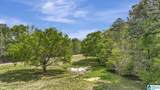 515 Hoyt Hill Road - Photo 37