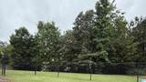 9620 Hampstead Heath Drive - Photo 4