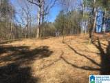 #0 Shady Point Road - Photo 12