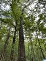 720 Good Hope Delta Road - Photo 36
