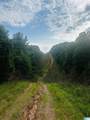 000 Highway 48 - Photo 6