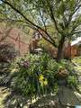 0910 Noble Street - Photo 35