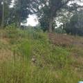 11284 Us Highway - Photo 10