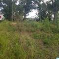 11284 Us Highway - Photo 11
