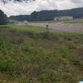 11284 Us Highway - Photo 13