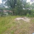 11284 Us Highway - Photo 15