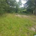 11284 Us Highway - Photo 20