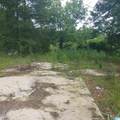 11284 Us Highway - Photo 4