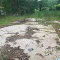 11284 Us Highway - Photo 6