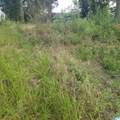 11284 Us Highway - Photo 7