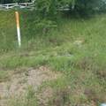 11284 Us Highway - Photo 8