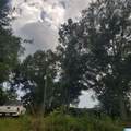 11284 Us Highway - Photo 9