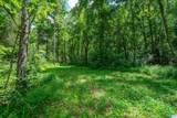 0 County Road 336 - Photo 6