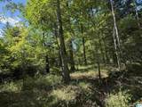 00 Cahaba Hill Road - Photo 10