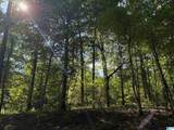 00 Cahaba Hill Road - Photo 8