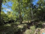 00 Cahaba Hill Road - Photo 9