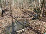 0 Highway 231 - Photo 12