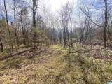 0 Highway 231 - Photo 15