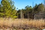 445 White Oak Drive - Photo 9