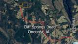 0 Cliff Springs Road - Photo 4