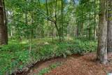 1410 Dunnavant Valley Road - Photo 63