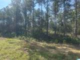 0 County Road 336 - Photo 19