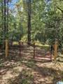 0 County Road 336 - Photo 21