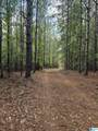 0 County Road 336 - Photo 29