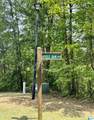 Lot 127 Post Oak Road - Photo 8