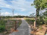 12179 Deer Chase Road - Photo 3