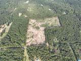 12179 Deer Chase Road - Photo 4