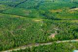 80.73 acres County Road 99 - Photo 5