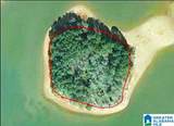 0 Shannon Lynn Shores Lane - Photo 1