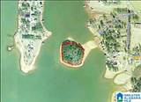 0 Shannon Lynn Shores Lane - Photo 2