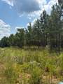  County Road 472 - Photo 2