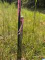  County Road 472 - Photo 9