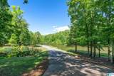487 Spring Valley Drive - Photo 97