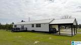 4139 County Road 24 - Photo 6