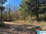 580 County Road 209 - Photo 2