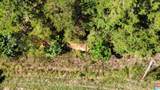  County Road 82 - Photo 21
