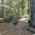 155 Coosa Drive - Photo 67