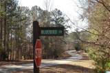 Lot 67 Blue Bird Drive - Photo 3