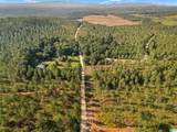 2250 County Road 175 - Photo 29