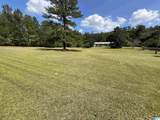 2250 County Road 175 - Photo 3