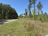 Tract 3 County Road 268 - Photo 2