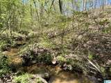 Tract 3 County Road 268 - Photo 5