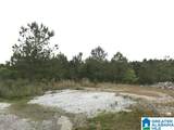 0 Waterford Trail - Photo 3